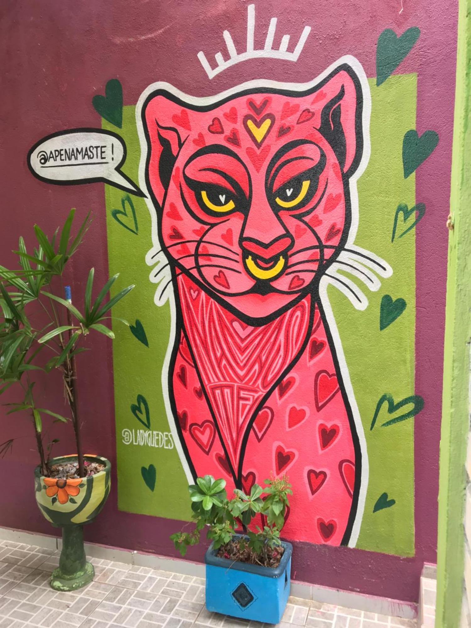 Apartamento Ape Namaste Natal